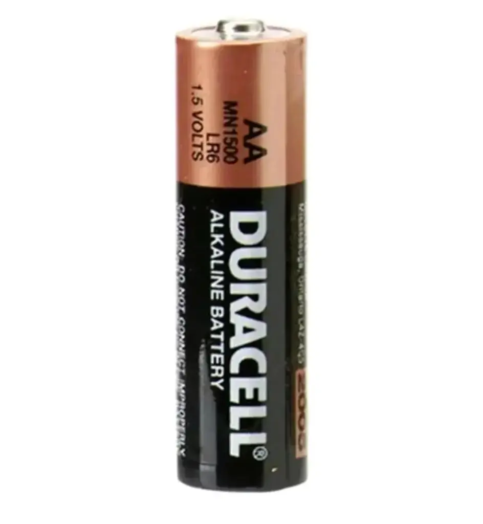 Pila alcalina AA x2 DURACELL